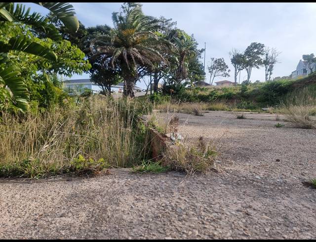 893M² VACANT LAND FOR SALE IN DANA BAY
